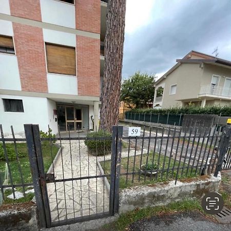 Casa Alexander Daire Marina di Massa Dış mekan fotoğraf